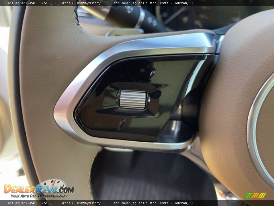 2021 Jaguar F-PACE P250 S Steering Wheel Photo #17