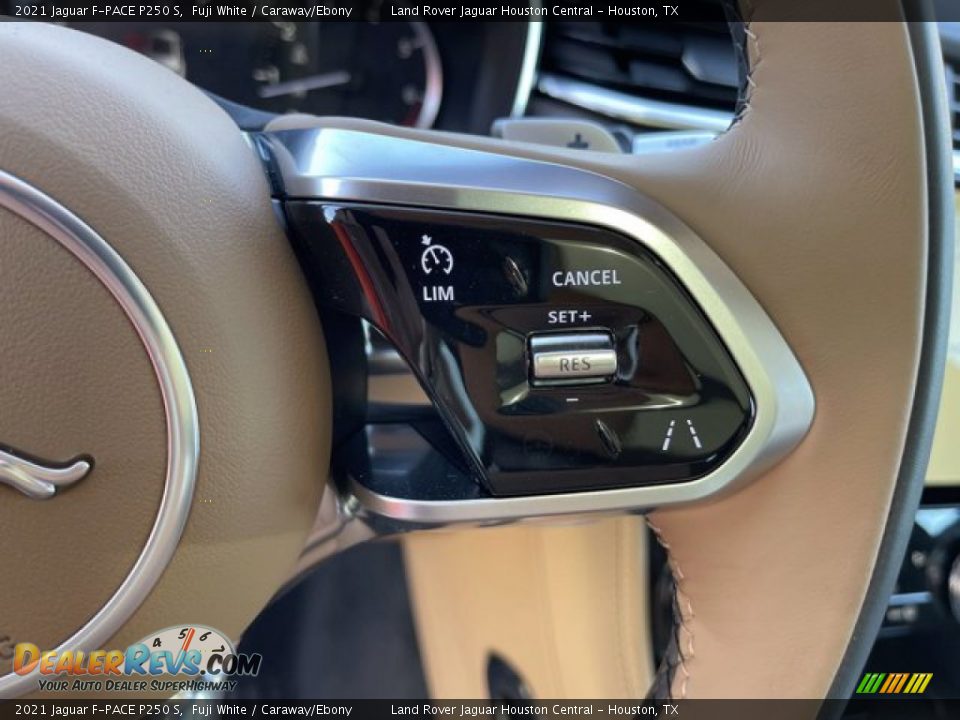 2021 Jaguar F-PACE P250 S Steering Wheel Photo #18