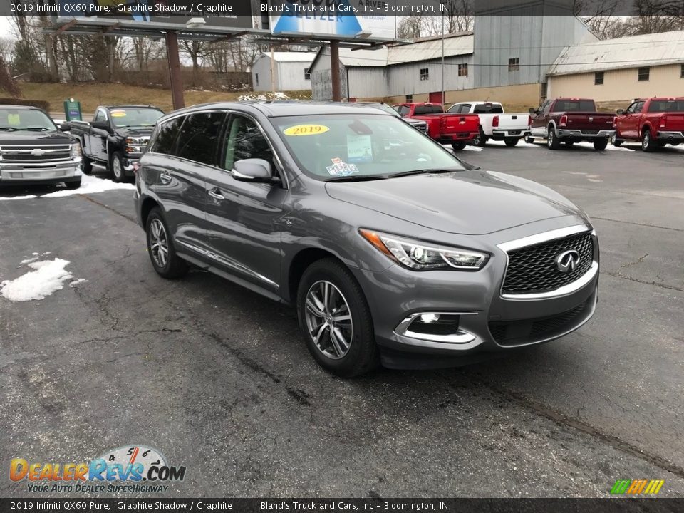 Graphite Shadow 2019 Infiniti QX60 Pure Photo #4