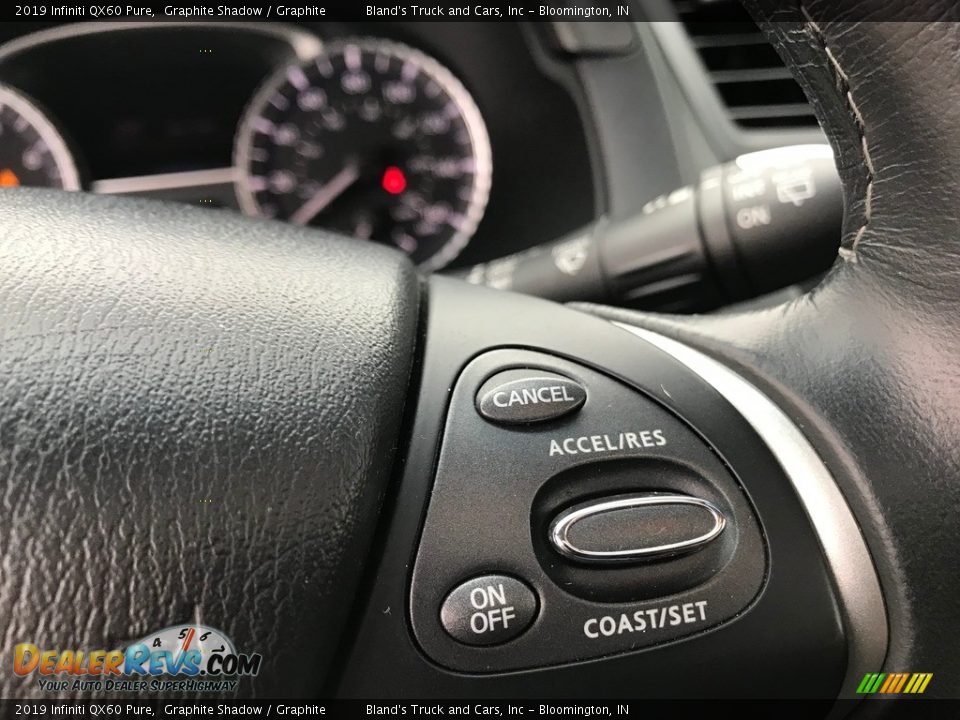 2019 Infiniti QX60 Pure Steering Wheel Photo #19