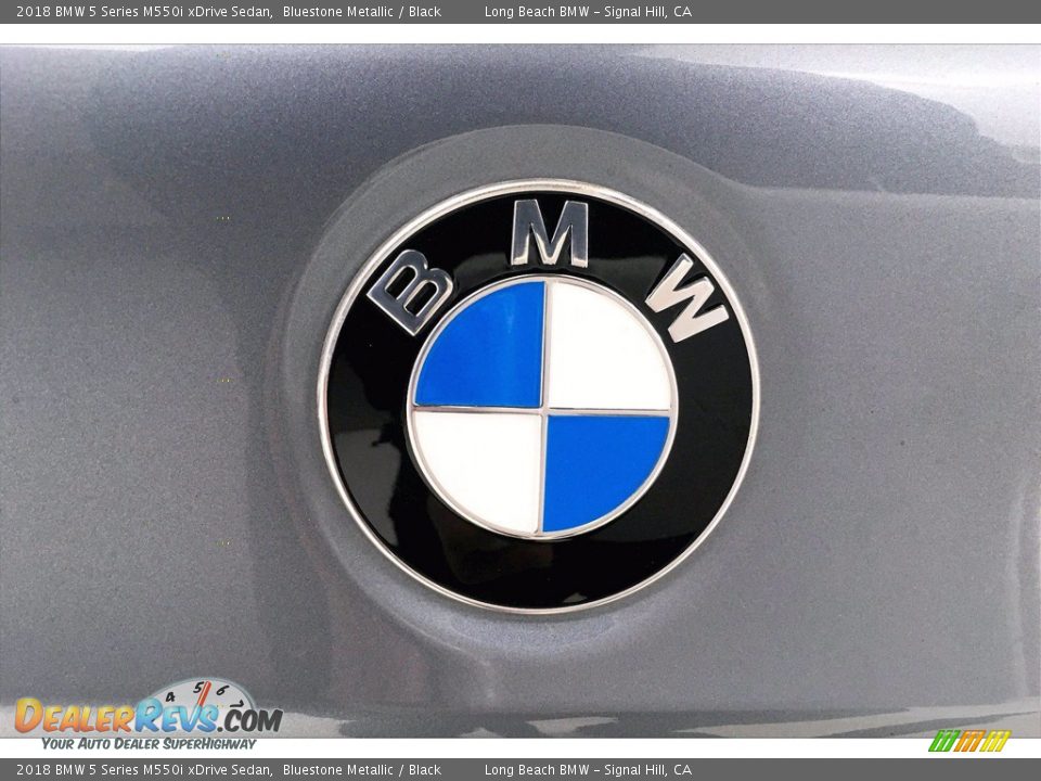 2018 BMW 5 Series M550i xDrive Sedan Logo Photo #34