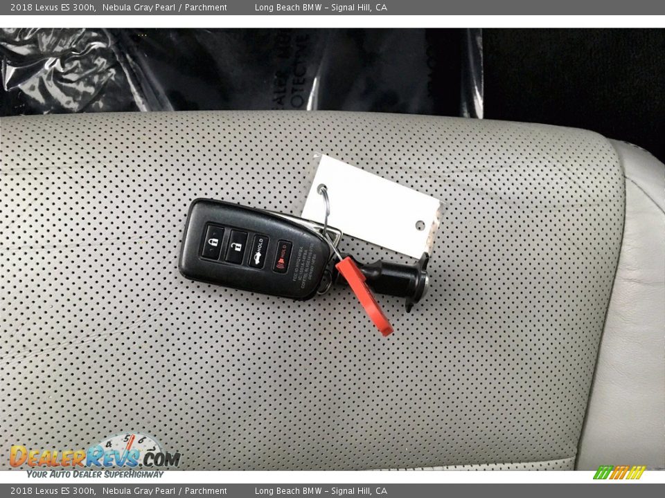 Keys of 2018 Lexus ES 300h Photo #11