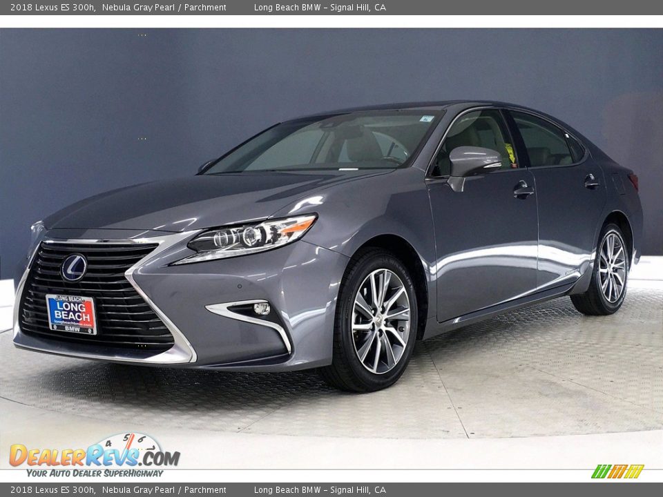 Nebula Gray Pearl 2018 Lexus ES 300h Photo #12