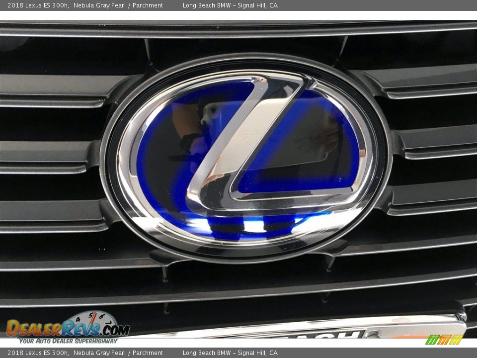 2018 Lexus ES 300h Logo Photo #33
