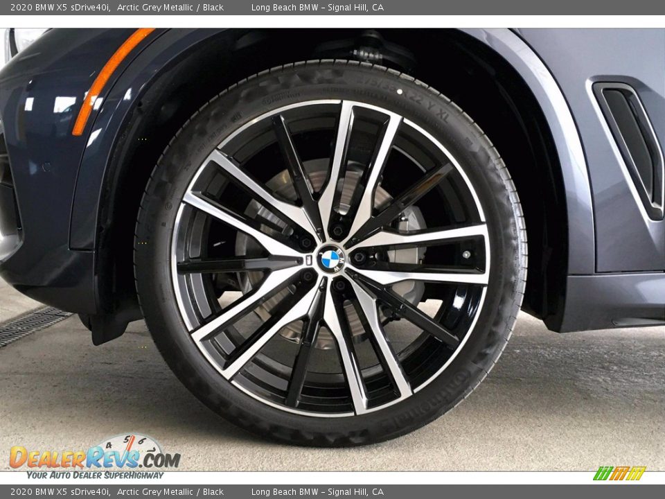 2020 BMW X5 sDrive40i Arctic Grey Metallic / Black Photo #9