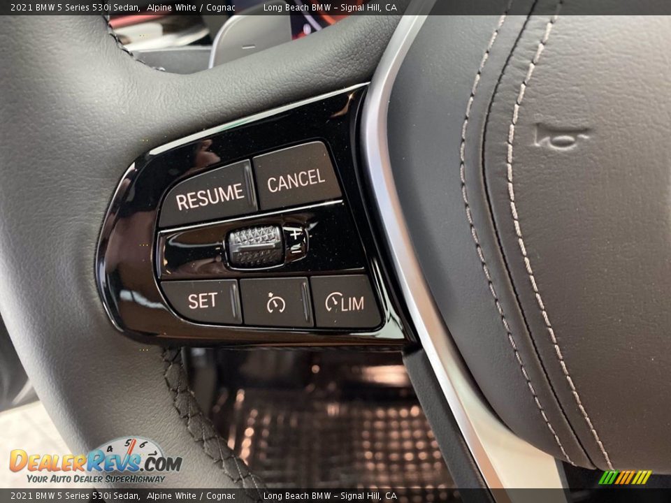 2021 BMW 5 Series 530i Sedan Steering Wheel Photo #22
