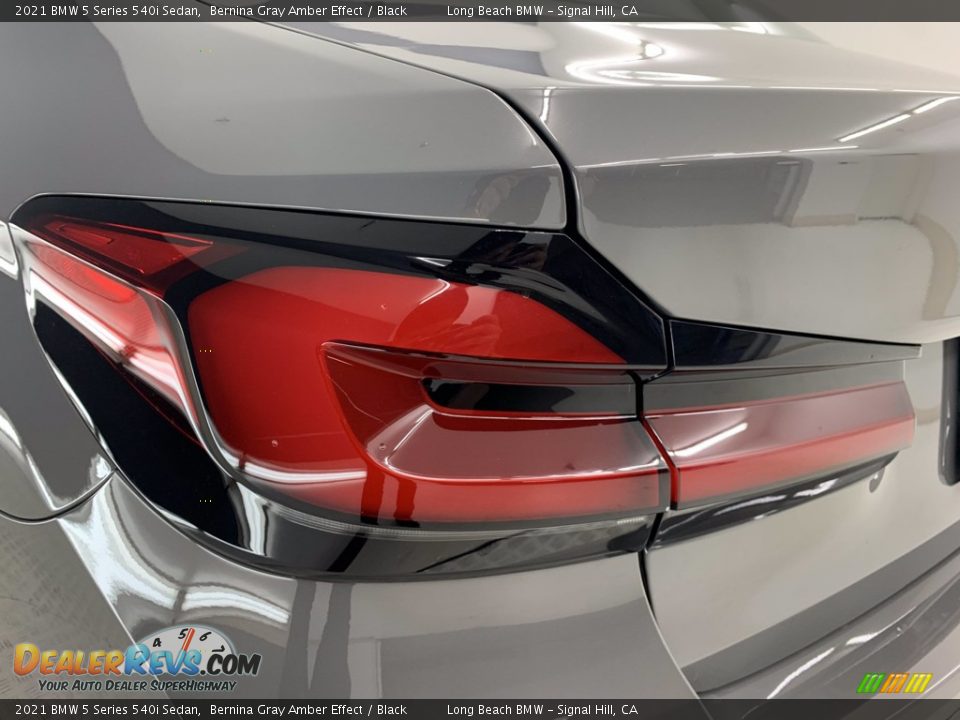 2021 BMW 5 Series 540i Sedan Bernina Gray Amber Effect / Black Photo #12