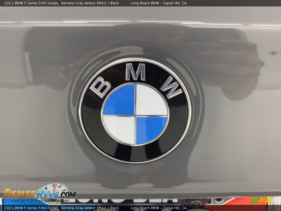 2021 BMW 5 Series 540i Sedan Bernina Gray Amber Effect / Black Photo #13