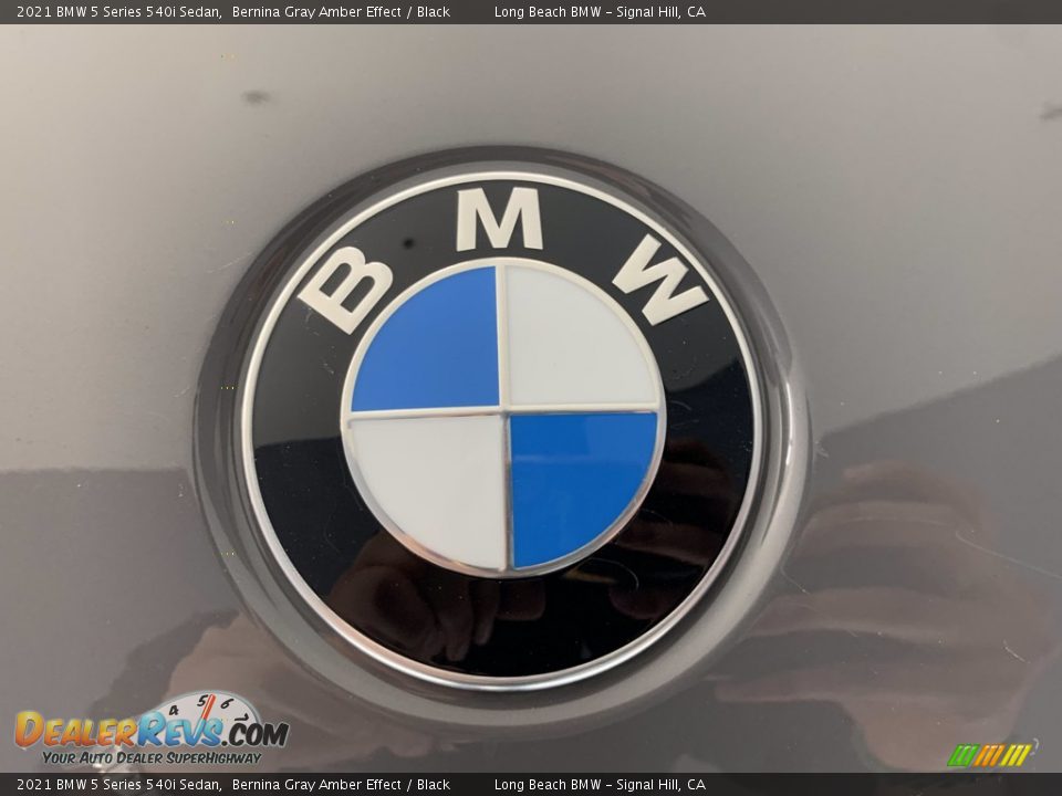 2021 BMW 5 Series 540i Sedan Bernina Gray Amber Effect / Black Photo #21