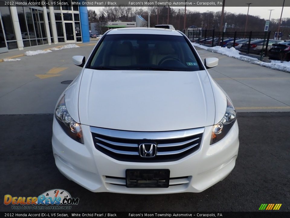 2012 Honda Accord EX-L V6 Sedan White Orchid Pearl / Black Photo #8