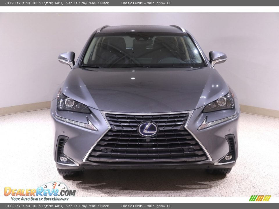 2019 Lexus NX 300h Hybrid AWD Nebula Gray Pearl / Black Photo #2