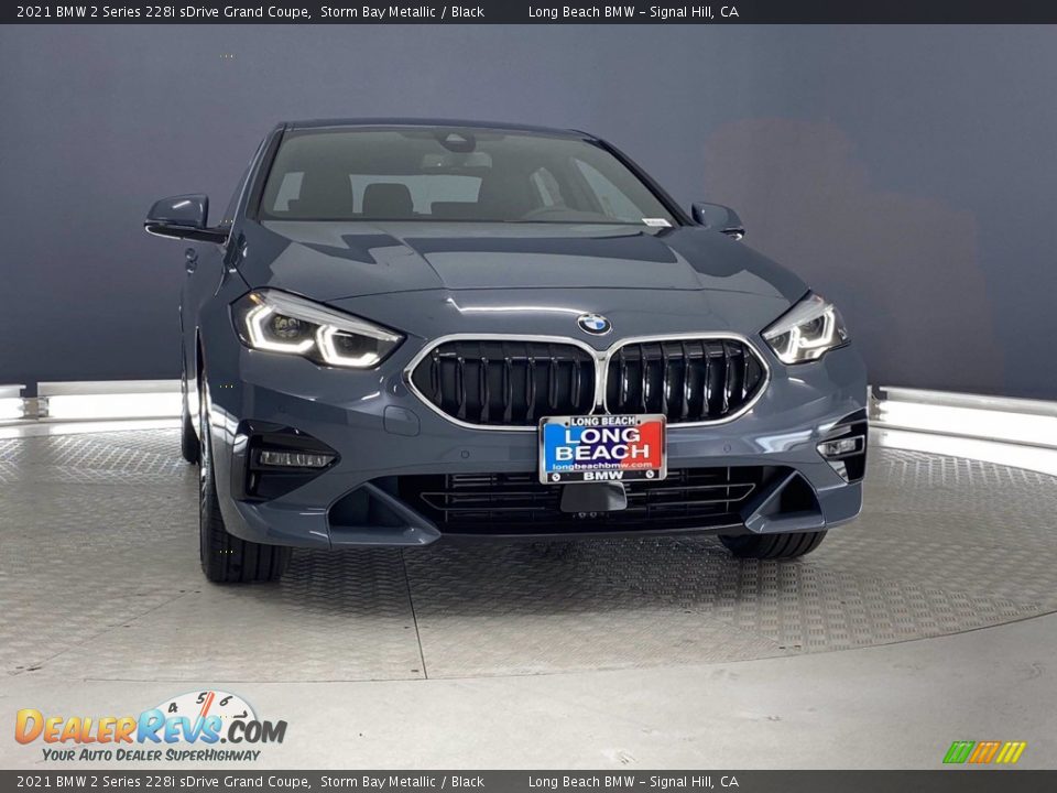 2021 BMW 2 Series 228i sDrive Grand Coupe Storm Bay Metallic / Black Photo #4