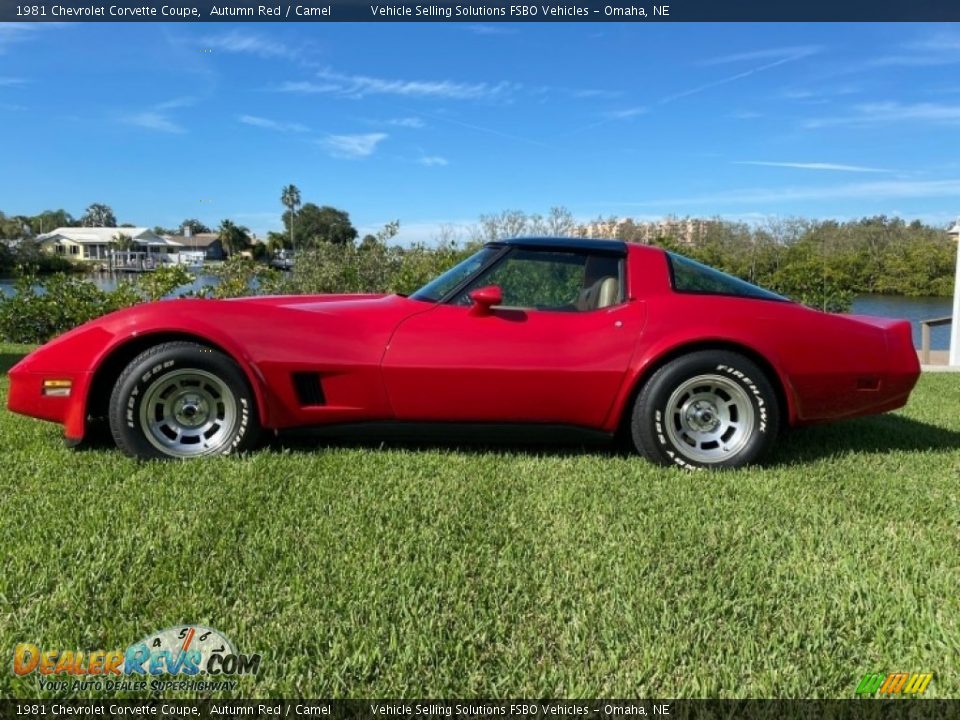 1981 Chevrolet Corvette Coupe Autumn Red / Camel Photo #1