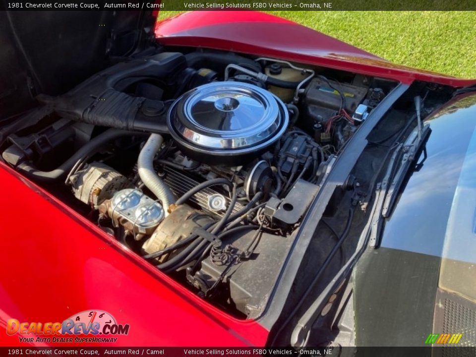 1981 Chevrolet Corvette Coupe Autumn Red / Camel Photo #2