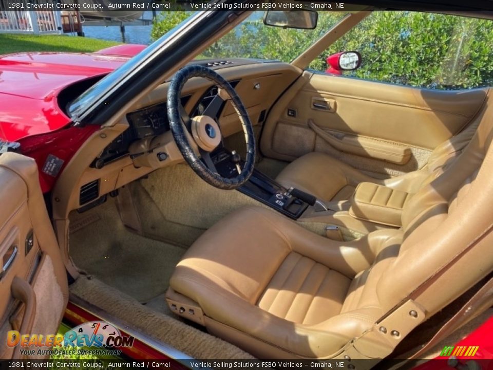 1981 Chevrolet Corvette Coupe Autumn Red / Camel Photo #4