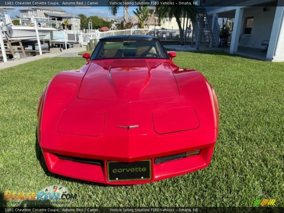 1981 Chevrolet Corvette Coupe Autumn Red / Camel Photo #6