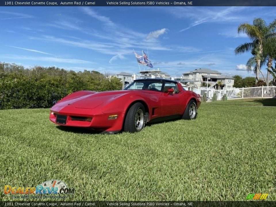 1981 Chevrolet Corvette Coupe Autumn Red / Camel Photo #7