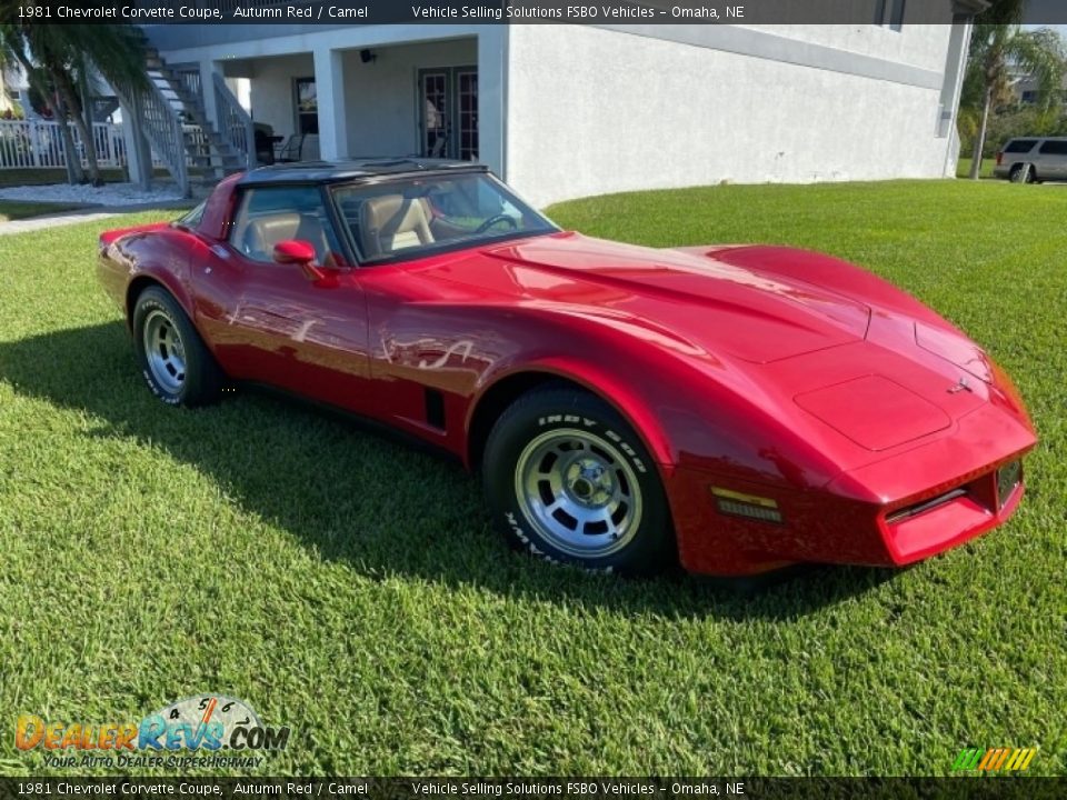 1981 Chevrolet Corvette Coupe Autumn Red / Camel Photo #8