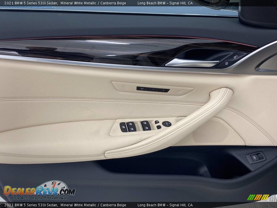 Door Panel of 2021 BMW 5 Series 530i Sedan Photo #15