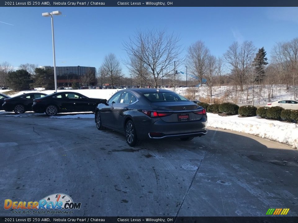 2021 Lexus ES 250 AWD Nebula Gray Pearl / Chateau Photo #4