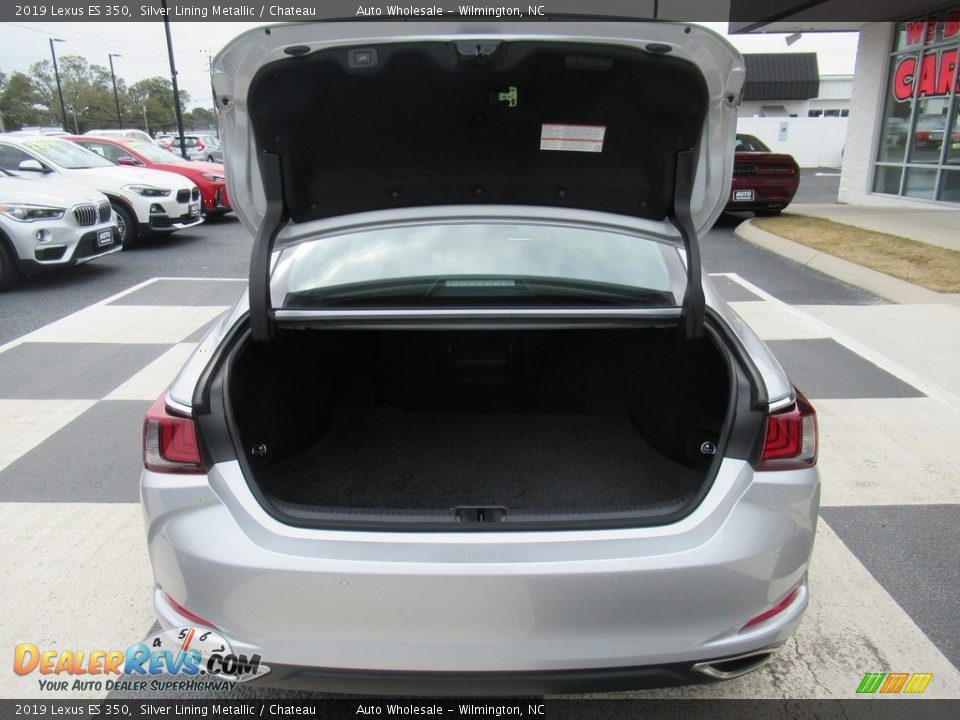 2019 Lexus ES 350 Silver Lining Metallic / Chateau Photo #5