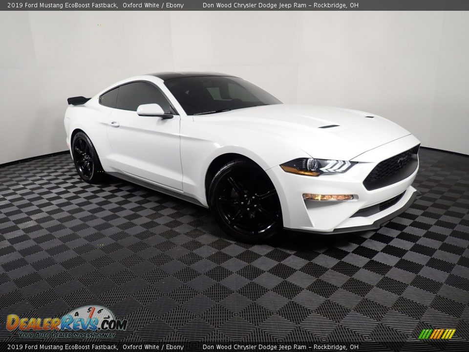 2019 Ford Mustang EcoBoost Fastback Oxford White / Ebony Photo #3