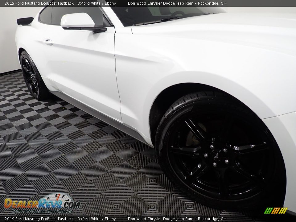 2019 Ford Mustang EcoBoost Fastback Oxford White / Ebony Photo #4