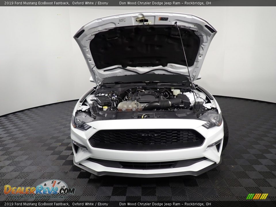 2019 Ford Mustang EcoBoost Fastback Oxford White / Ebony Photo #6