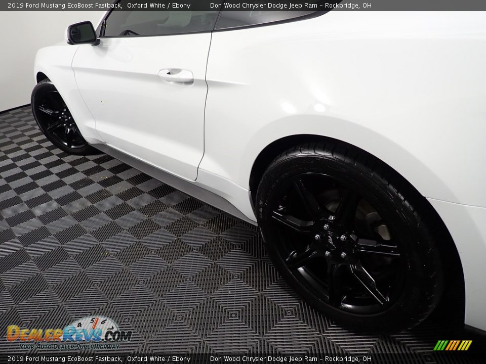 2019 Ford Mustang EcoBoost Fastback Oxford White / Ebony Photo #10