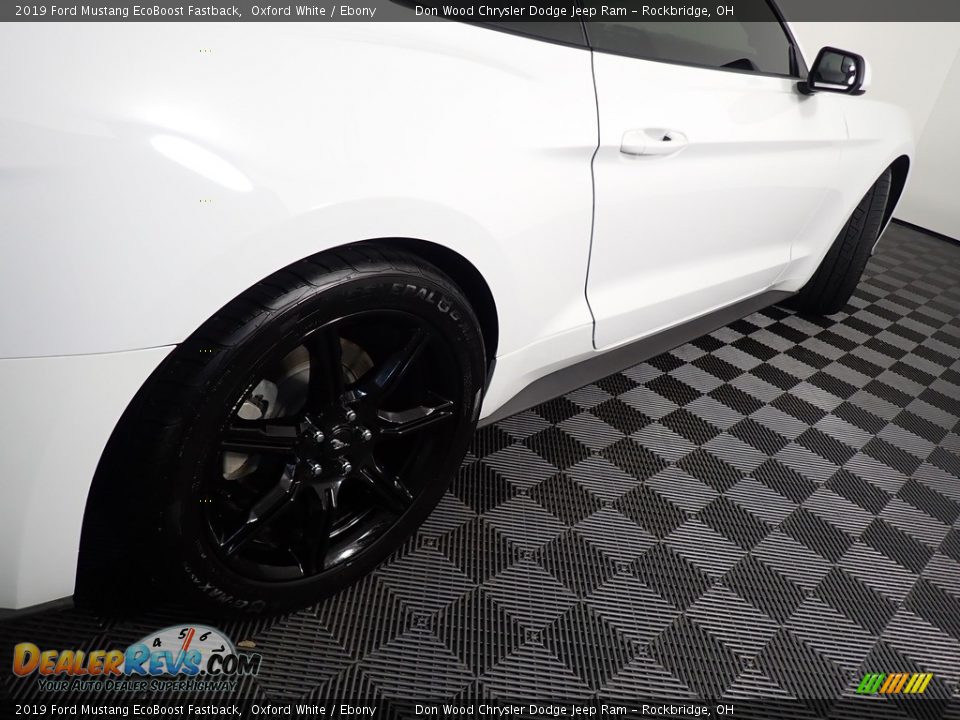 2019 Ford Mustang EcoBoost Fastback Oxford White / Ebony Photo #16