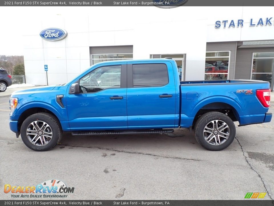 2021 Ford F150 STX SuperCrew 4x4 Velocity Blue / Black Photo #2