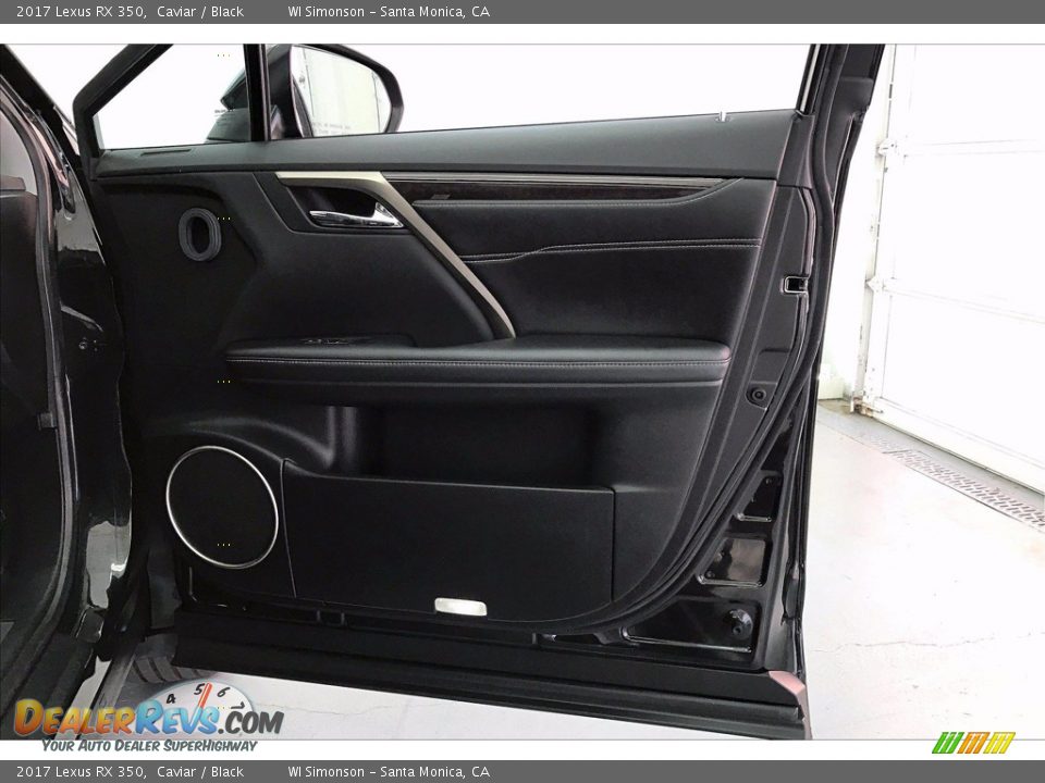 Door Panel of 2017 Lexus RX 350 Photo #27