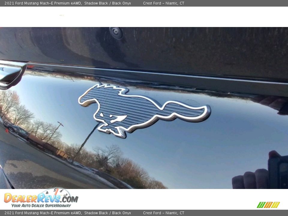 2021 Ford Mustang Mach-E Premium eAWD Logo Photo #9