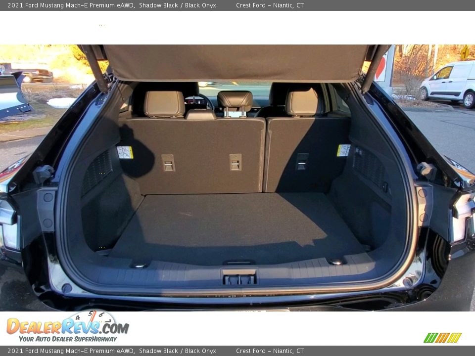 2021 Ford Mustang Mach-E Premium eAWD Trunk Photo #20
