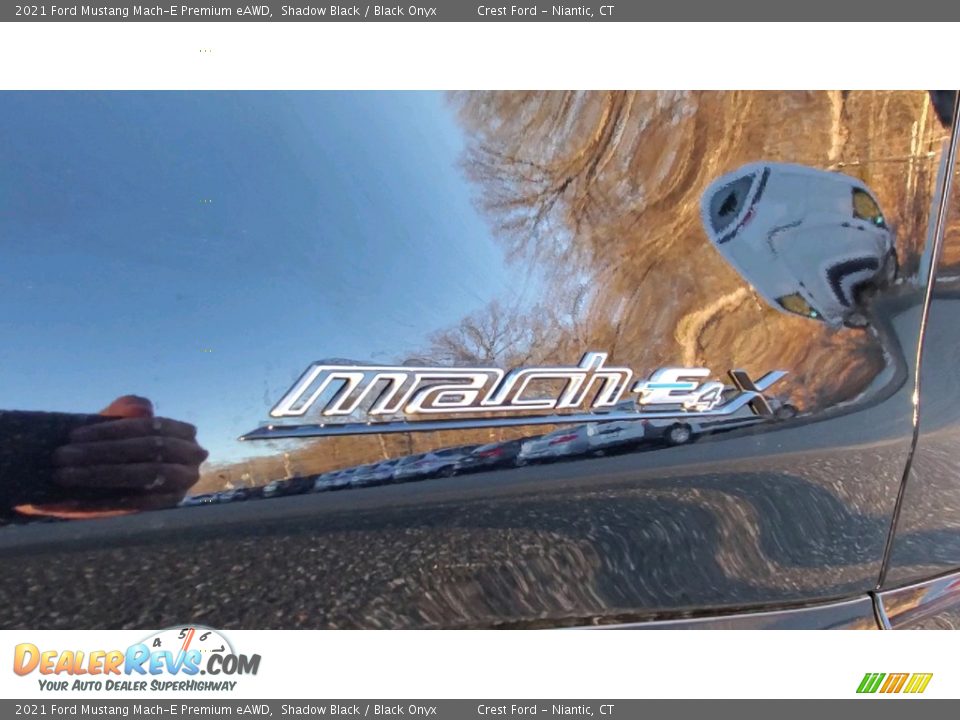2021 Ford Mustang Mach-E Premium eAWD Logo Photo #25