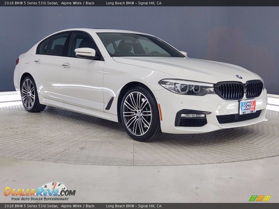 2018 BMW 5 Series 530i Sedan Alpine White / Black Photo #2