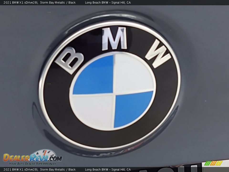 2021 BMW X1 sDrive28i Storm Bay Metallic / Black Photo #9