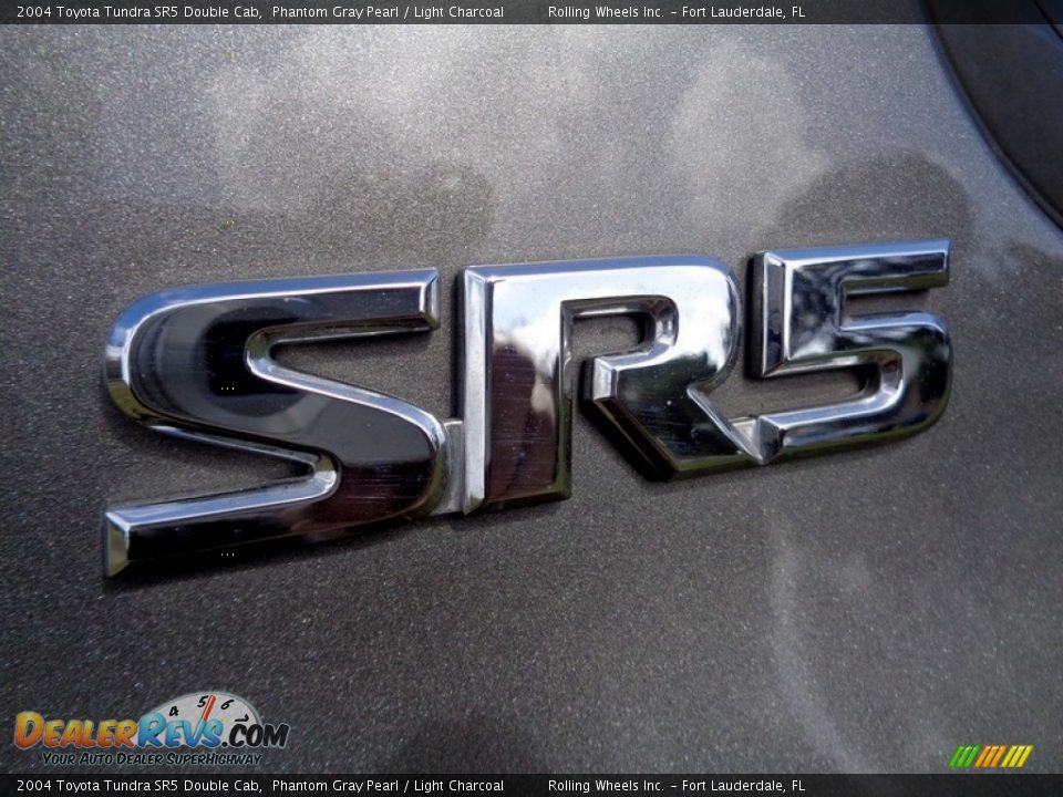 2004 Toyota Tundra SR5 Double Cab Phantom Gray Pearl / Light Charcoal Photo #2