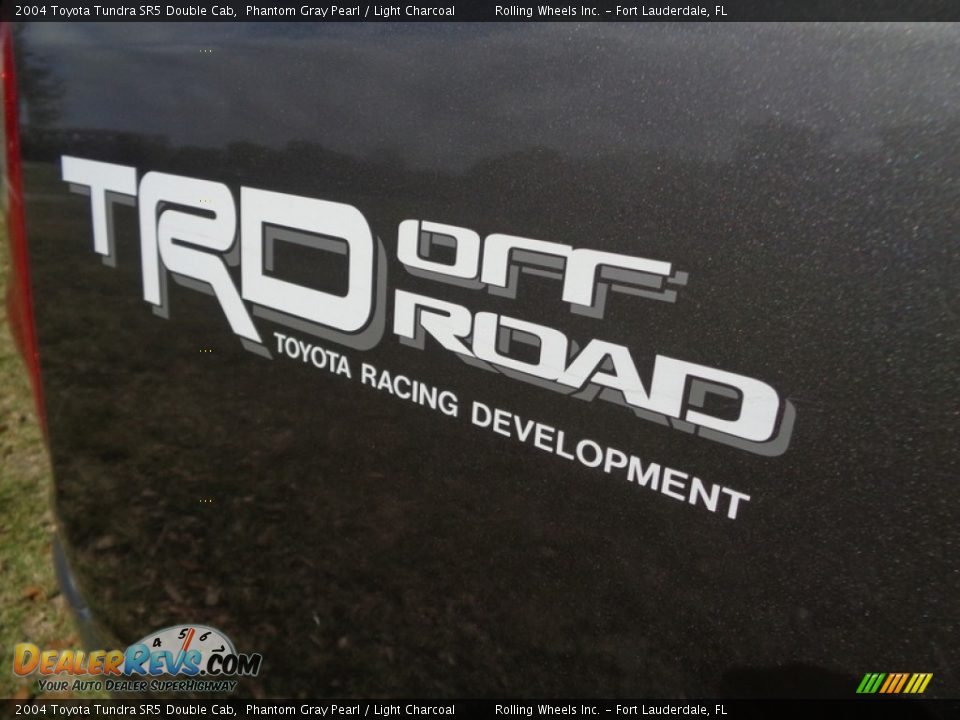 2004 Toyota Tundra SR5 Double Cab Phantom Gray Pearl / Light Charcoal Photo #6