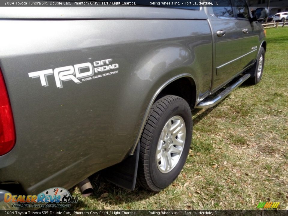 2004 Toyota Tundra SR5 Double Cab Phantom Gray Pearl / Light Charcoal Photo #17