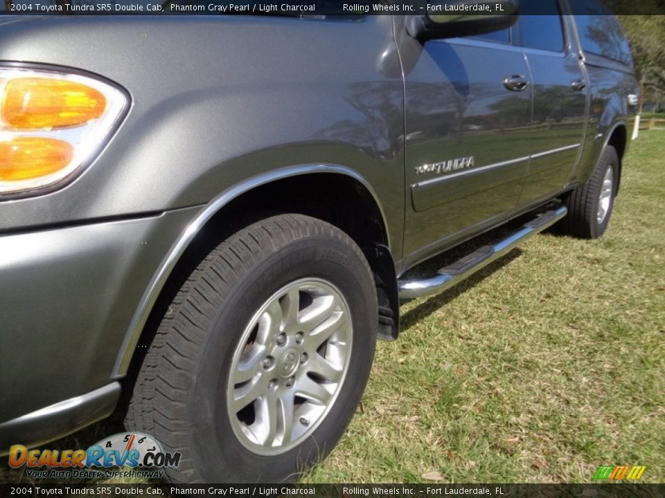 2004 Toyota Tundra SR5 Double Cab Phantom Gray Pearl / Light Charcoal Photo #30