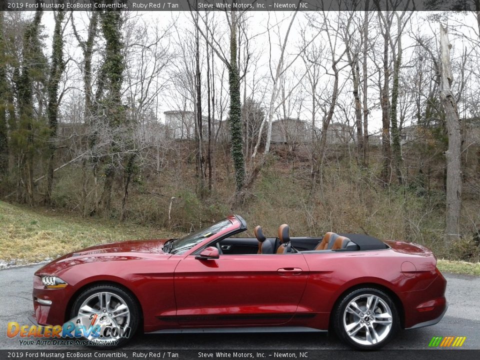 Ruby Red 2019 Ford Mustang EcoBoost Convertible Photo #3