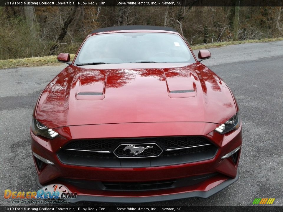 2019 Ford Mustang EcoBoost Convertible Ruby Red / Tan Photo #5