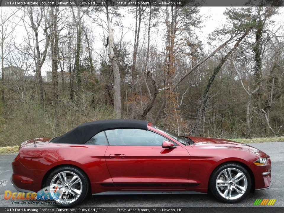 Ruby Red 2019 Ford Mustang EcoBoost Convertible Photo #7