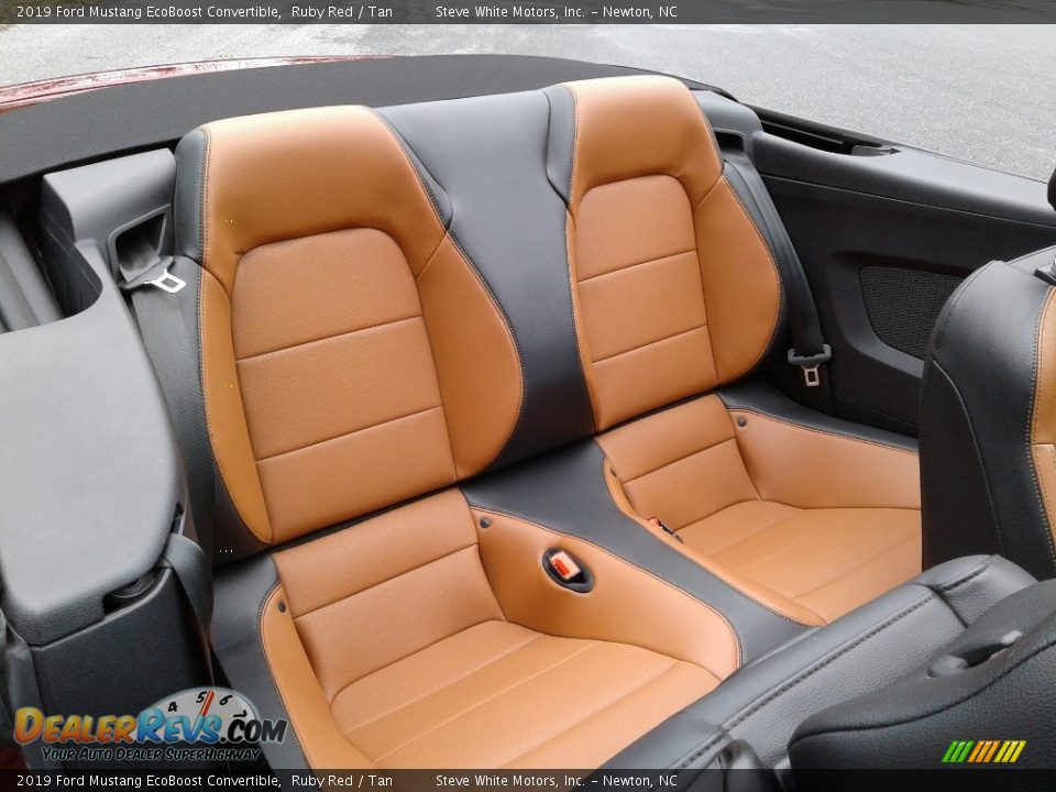 Rear Seat of 2019 Ford Mustang EcoBoost Convertible Photo #15