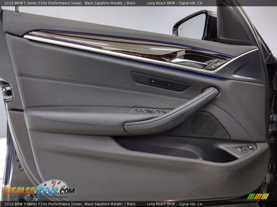 Door Panel of 2019 BMW 5 Series 530e iPerformance Sedan Photo #13