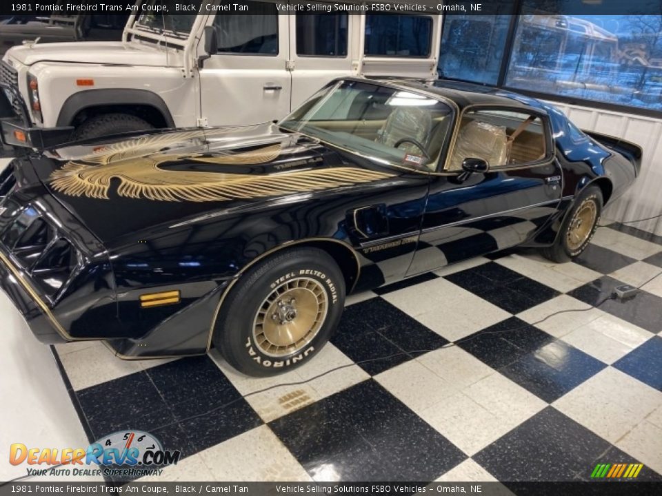 Front 3/4 View of 1981 Pontiac Firebird Trans Am Coupe Photo #1