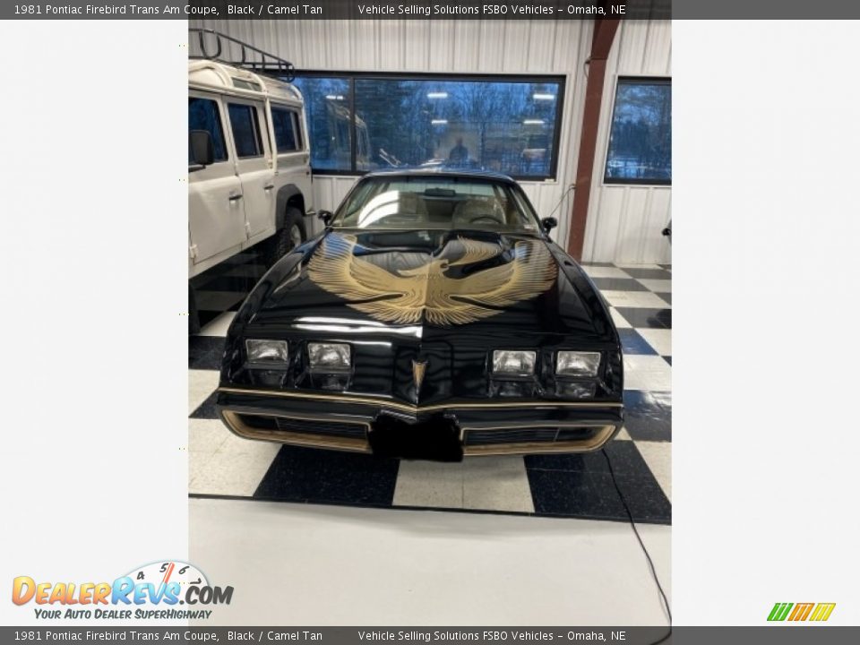 Black 1981 Pontiac Firebird Trans Am Coupe Photo #2