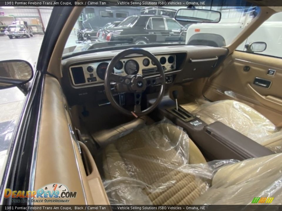 Camel Tan Interior - 1981 Pontiac Firebird Trans Am Coupe Photo #4