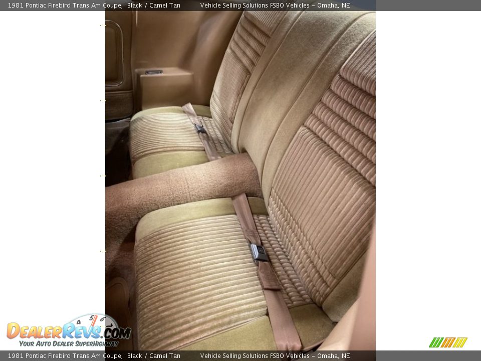 Rear Seat of 1981 Pontiac Firebird Trans Am Coupe Photo #5